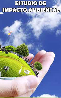 ESTUDIO DE IMPACTO AMBIENTAL Y OTROS